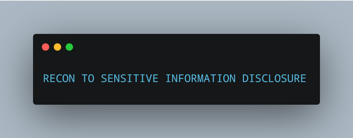 Recon to Sensitive Information Disclosure
